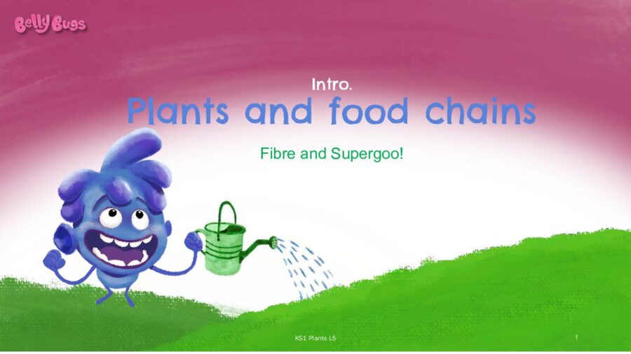 Intro Lesson 5 Plants and Food Chains Fibre and Supergoo