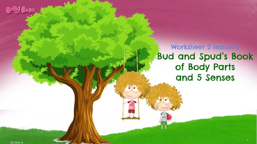 Worksheet 2 Lesson 3 Bud and Spud Body Parts and 5 Senses