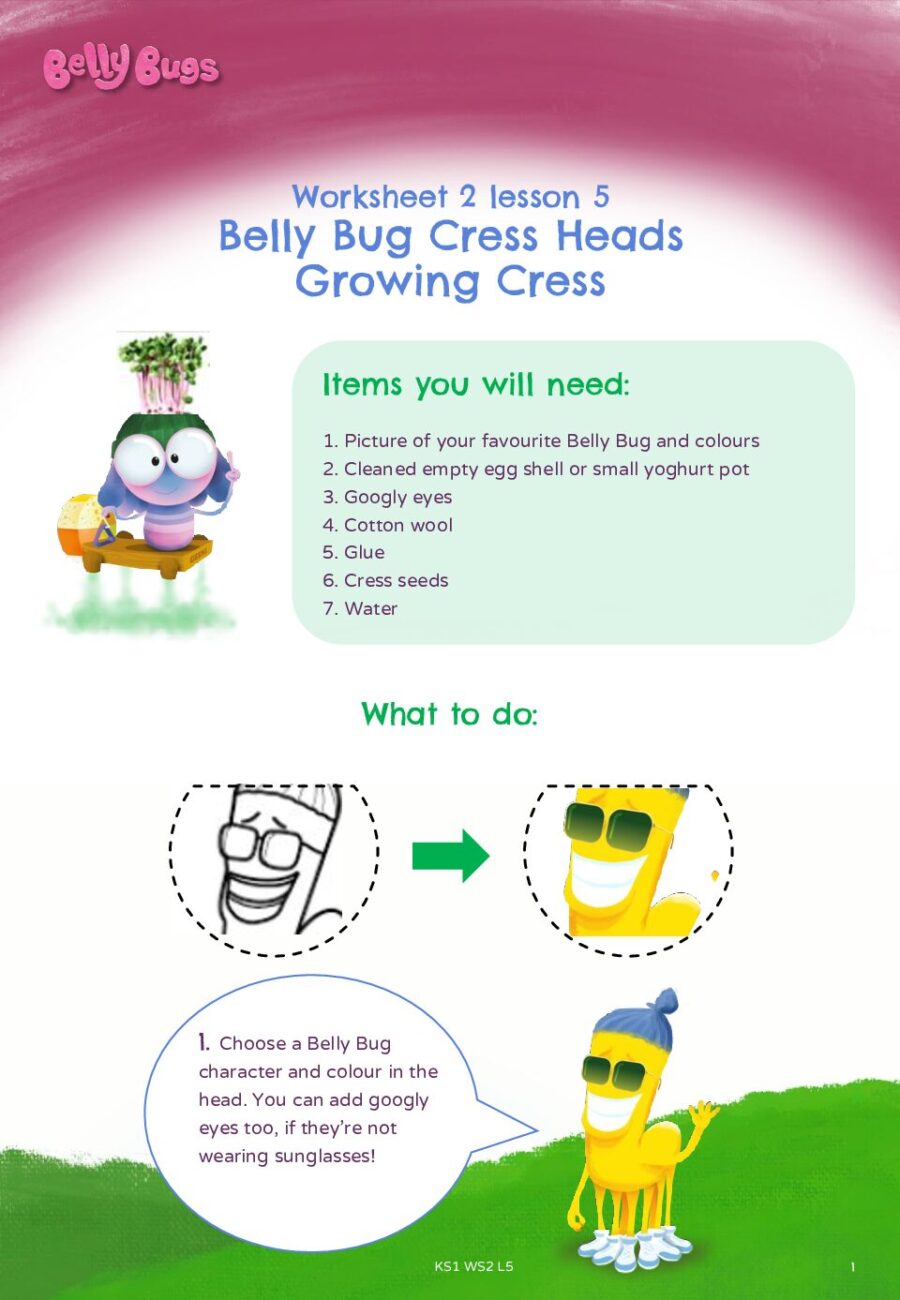 Worksheet 2 Lesson 5 Belly Bugs Growing Cress Heads