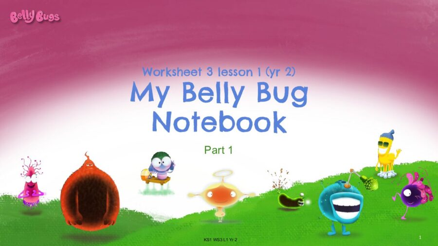 Worksheet 3 Lesson 1 My Belly Bug Notebook part 1 yr 2