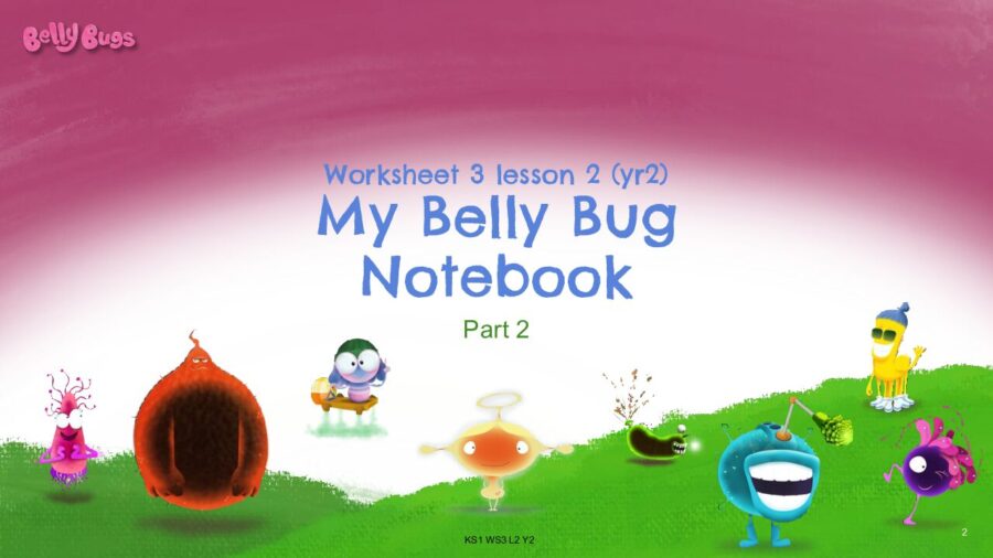 Worksheet 3 Lesson 2 yr 2 My Belly Bug Notebook part 2